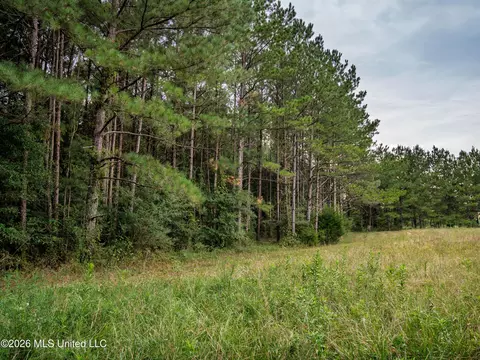 483 D Williams Rd, Morton, MS 39117 photo 15