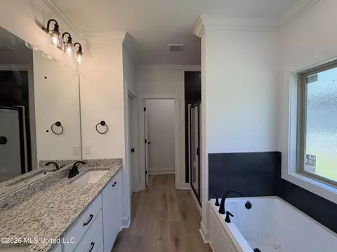 Bath - 147 Stapleton Dr, Canton, MS 39046 photo 1 of 3