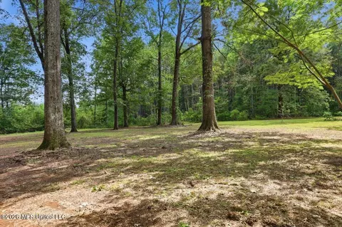 Exterior - 301 Maple St, Florence, MS 39073 photo 4 of 10