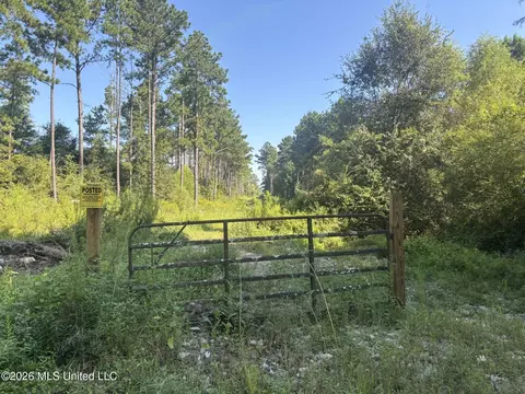 0 E Doc Clark Rd, Morton, MS 39117 photo 13