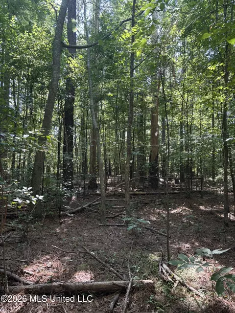0 E Doc Clark Rd, Morton, MS 39117 photo 25