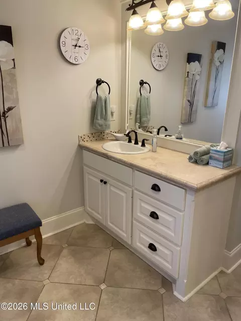 Bath - 153 Grayhawk Dr, Madison, MS 39110 photo 4 of 7