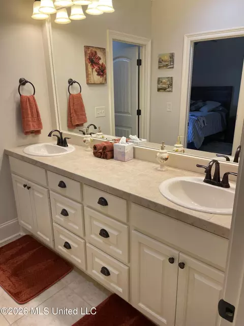 Bath - 153 Grayhawk Dr, Madison, MS 39110 photo 7 of 7
