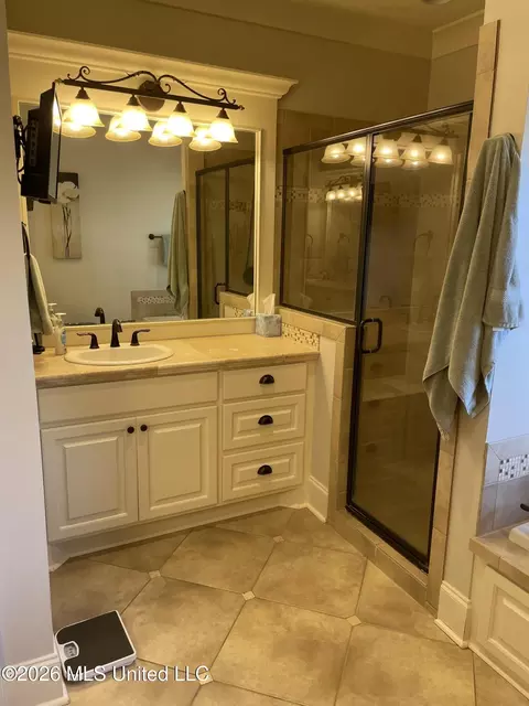 Bath - 153 Grayhawk Dr, Madison, MS 39110 photo 2 of 7