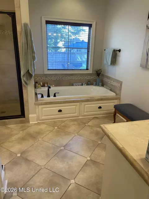 Bath - 153 Grayhawk Dr, Madison, MS 39110 photo 3 of 7