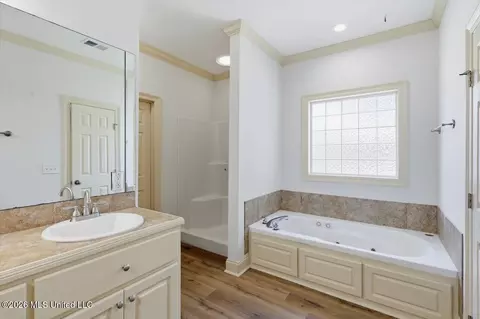Bath - 130 Savoy Park, Madison, MS 39110 photo 2 of 4