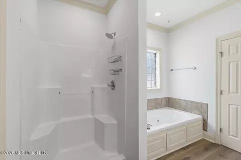 Bath - 130 Savoy Park, Madison, MS 39110 photo 3 of 4