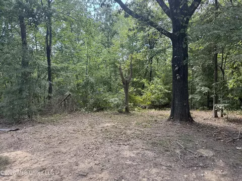 Exterior - 191 Bob White Ln, Pope, MS 38658 photo 8 of 12