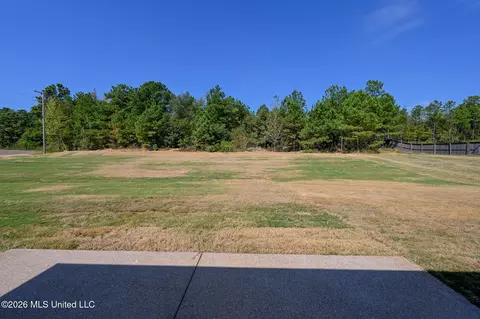Exterior - 14160 Hidden Loop, Byhalia, MS 38611 photo 4 of 8