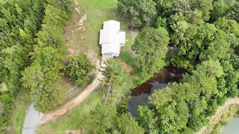 Other - 296 Tom Hempstead Rd, Lucedale, MS 39452 photo 15 of 15