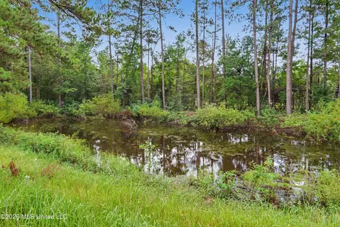 View/Area - 296 Tom Hempstead Rd, Lucedale, MS 39452 photo 1 of 4