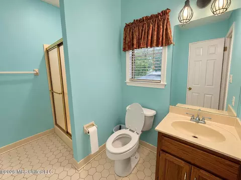 Bath - 8885 Cedar Crest Ln, Olive Branch, MS 38654 photo 5 of 6