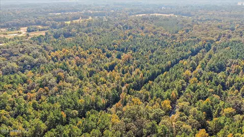 0 Cleary Rd, Florence, MS 39073 photo 20