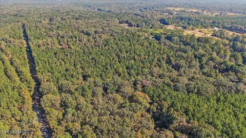 000 Cleary Rd, Florence, MS 39073 photo 5