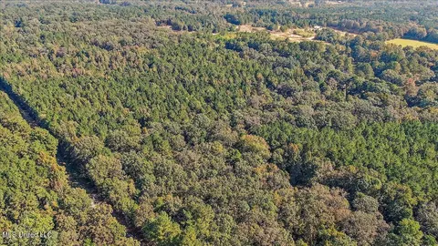 000 Cleary Rd, Florence, MS 39073 photo 6