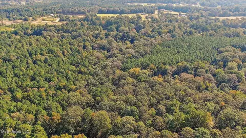 0000 Cleary Rd, Florence, MS 39073 photo 16