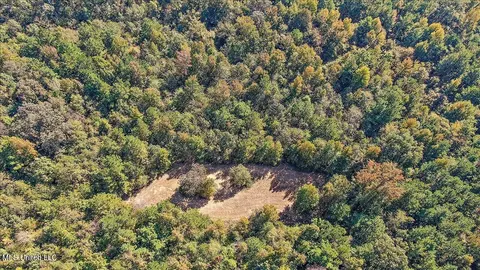 0000 Cleary Rd, Florence, MS 39073 photo 22