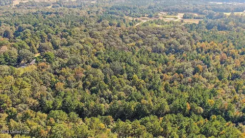0000 Cleary Rd, Florence, MS 39073 photo 19