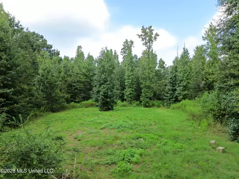 Exterior - 172 E Bond Rd, Wiggins, MS 39577 photo 5 of 5