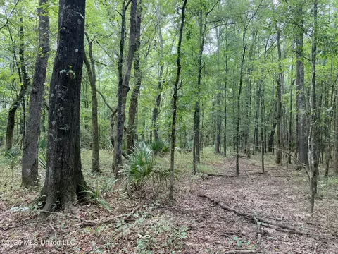 46 9, Pearl, MS 39208 photo 6
