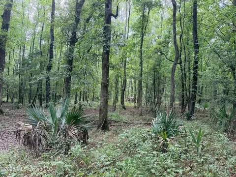 46 9, Pearl, MS 39208 photo 7