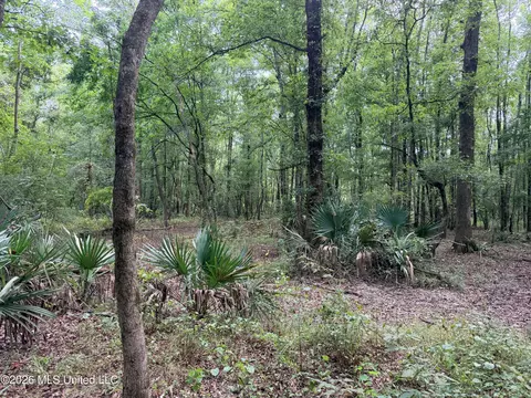 46 9, Pearl, MS 39208 photo 8