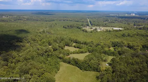 001 Ms-13, Morton, MS 39117 photo 17