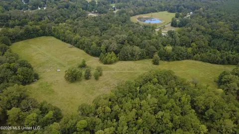 001 Ms-13, Morton, MS 39117 photo 2