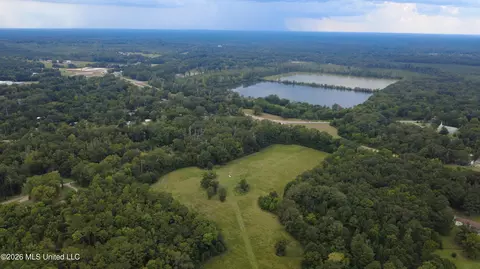 001 Ms-13, Morton, MS 39117 photo 31