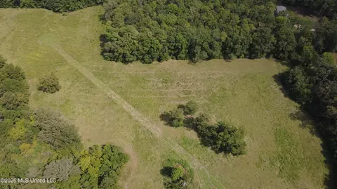 001 Ms-13, Morton, MS 39117 photo 15