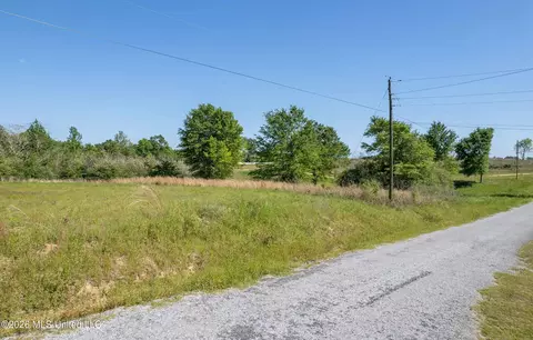 Pine View Road, Collins, MS 39428 photo 5