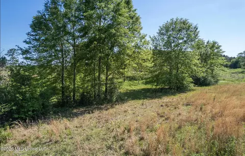 Pine View Road, Collins, MS 39428 photo 6