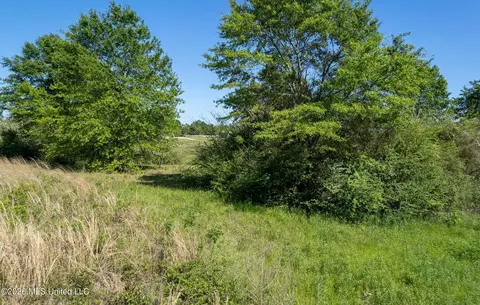 Pine View Road, Collins, MS 39428 photo 7