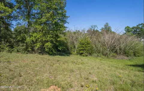 Pine View Road, Collins, MS 39428 photo 9