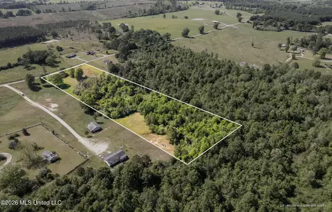 Pine View Road, Collins, MS 39428 photo 3