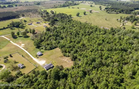 Pine View Road, Collins, MS 39428 photo 4