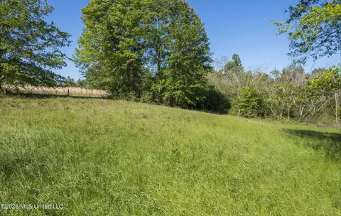 Pine View Road, Collins, MS 39428 photo 8