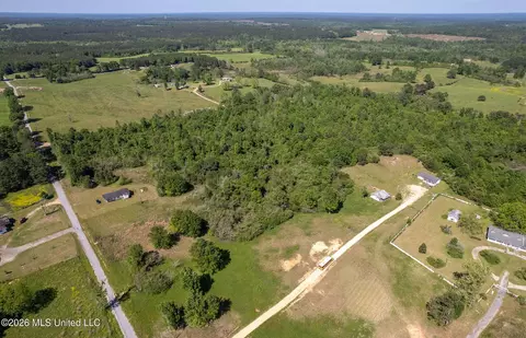 Pine View Road, Collins, MS 39428 photo 2