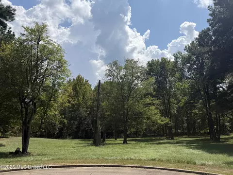 119 Bristol Dr, Madison, MS 39110 photo 2