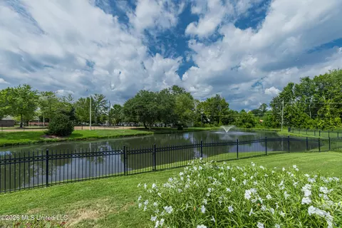 View/Area - 284 Lighthouse Ln, Brandon, MS 39047 photo 1 of 2