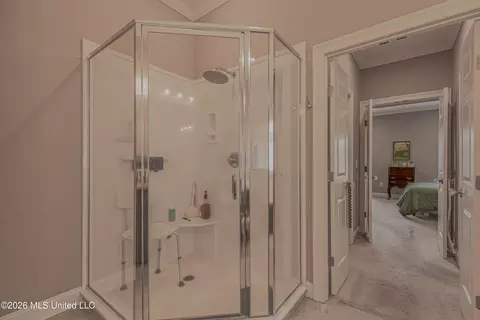 Other - 284 Lighthouse Ln, Brandon, MS 39047 photo 13 of 17
