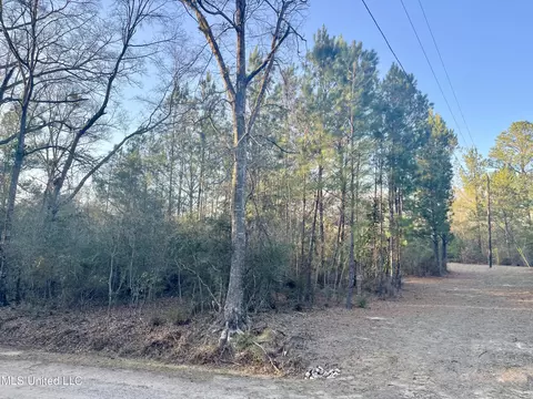 0 Road 522, Saucier, MS 39574 photo 2