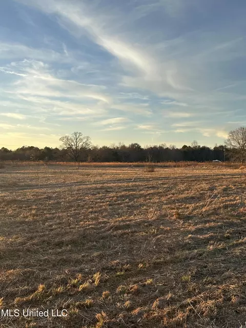000 Ovelle Lee Rd, Poplarville, MS 39470