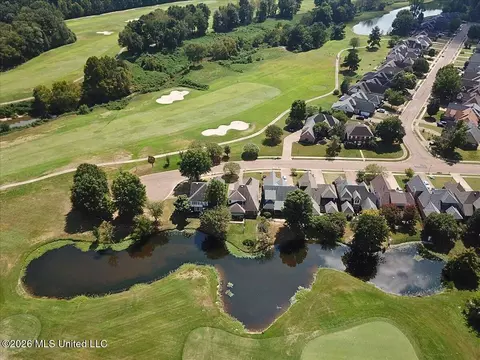 View/Area - 7116 Apache Dr, Olive Branch, MS 38654 photo 5 of 7