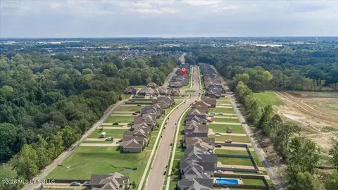 View/Area - 5864 Stonecrest Dr, Olive Branch, MS 38654 photo 4 of 4