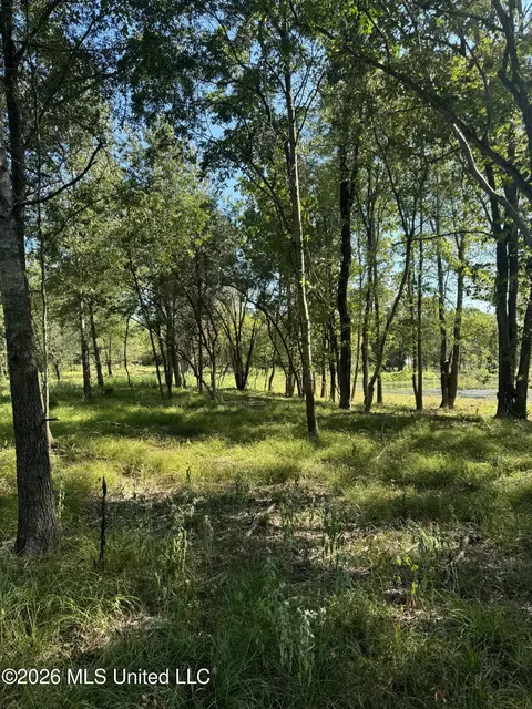 Lansbury Way, Madison, MS 39110 photo 15