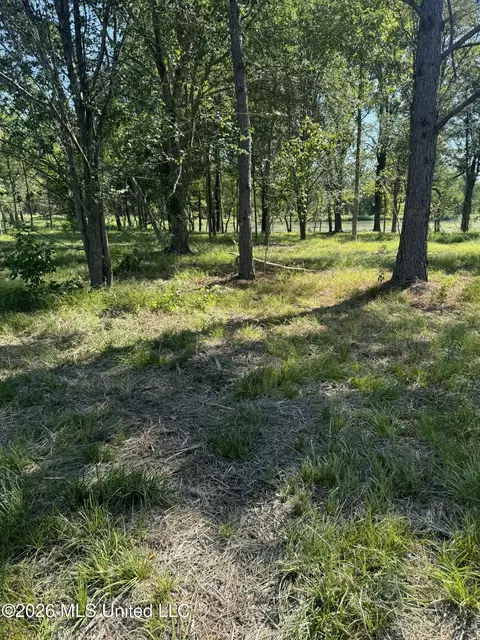 Lansbury Way, Madison, MS 39110 photo 18