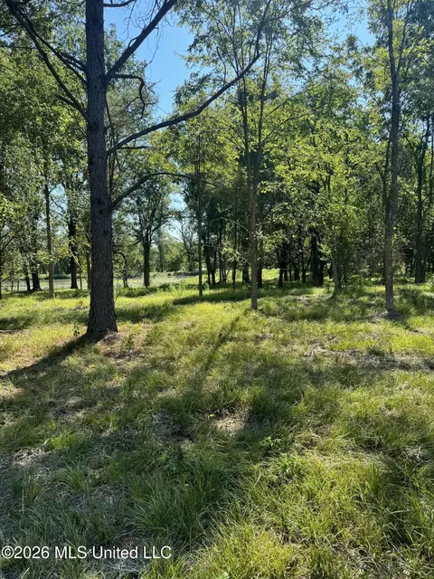 Lansbury Way, Madison, MS 39110 photo 8