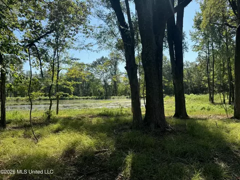 Lansbury Way, Madison, MS 39110 photo 9