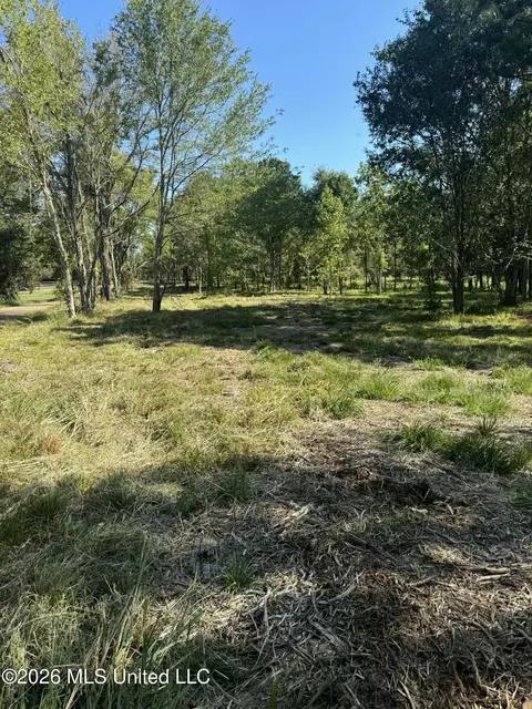 Lansbury Way, Madison, MS 39110 photo 10